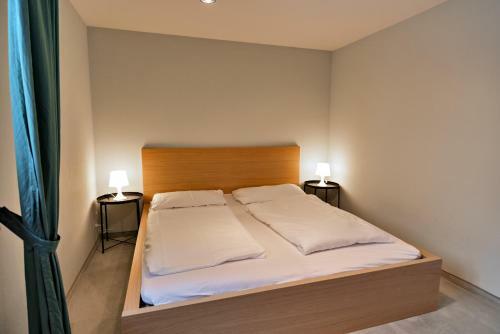 Apartamento Chesa Fuolla Rosa - Celerina