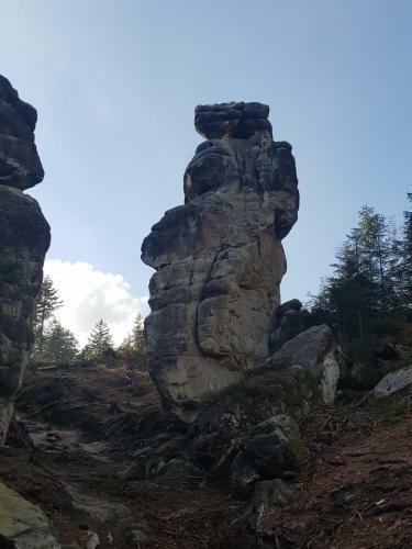 Apartmany 123