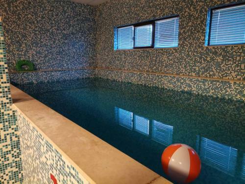 Apartamento Forest Home 524
