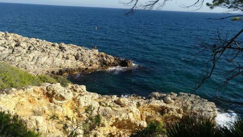 Apartamento Ol� Ol�
