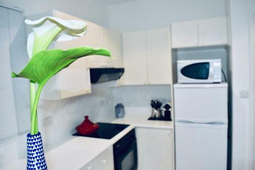 Apartamento Paradise Gardens Mediterranean Home