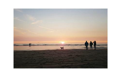 Holiday Home Egmond Aan Zee III