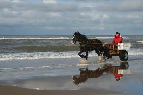 Bed & Breakfast Hoogland Aan Zee