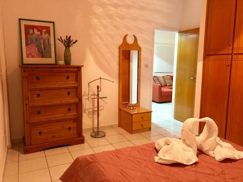 Sunny 1 Bedroom Kato Paphos Apartment