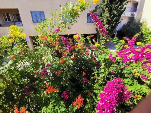 Apartamento 103 Regina Gardens