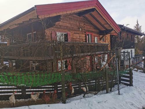 Hostal Kaiserhaus Harald Astner Ebbs Studio 1