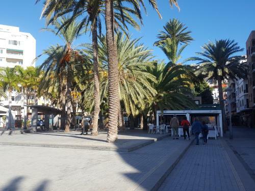 Apartamento El Isle�o