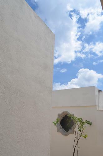 Hermosa Suite Privada En Casa Hol�stica