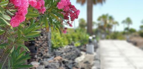 Cosy Well Located Apartment Tenerife Sur Golf