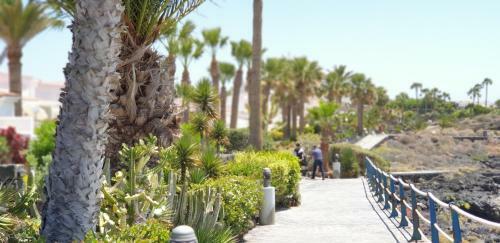 Cosy Well Located Apartment Tenerife Sur Golf