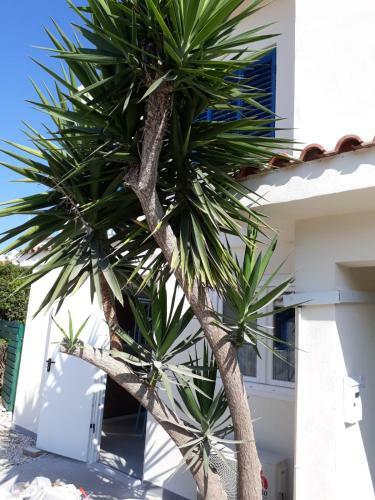 Pervolia Villa At Faros Beach