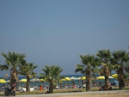 Excellent 2 Bed Apartment With Pool View, AC & Gym!