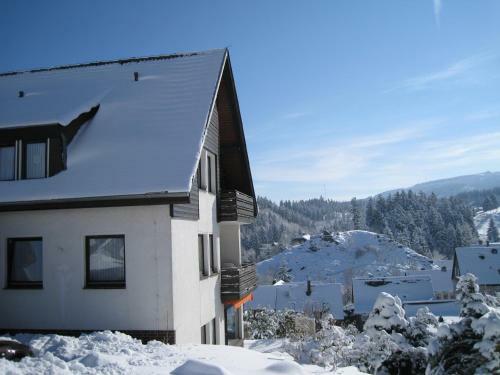 Apartamento Appartementhaus Looss