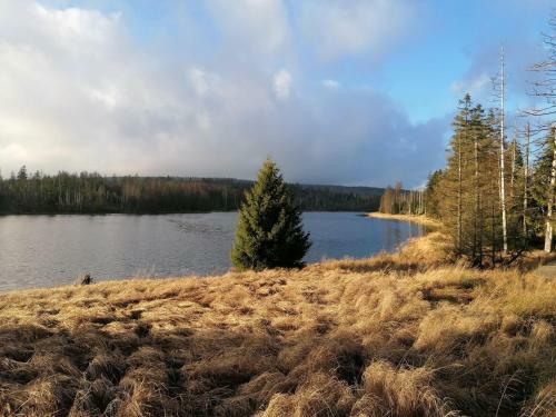 Apartamento Ferienwohnung-rita-zwei