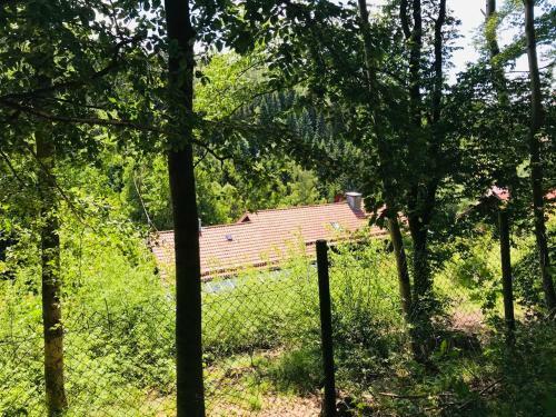 Apartamento Altes Forstamt Altenau