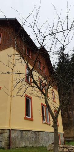 Apartamento Haus Stefanie Elvire