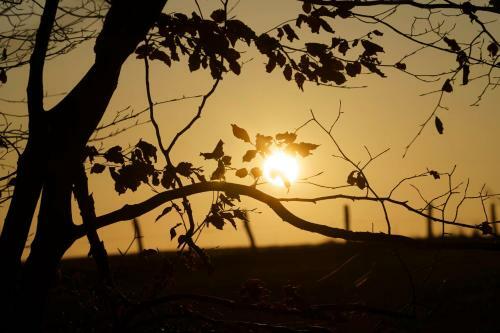 Bed & Breakfast Ardenne Essentielle