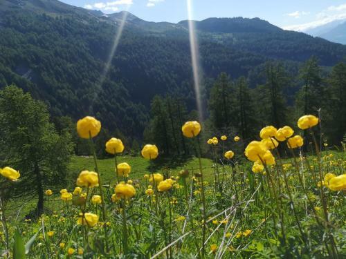 Apartment 42 Crans