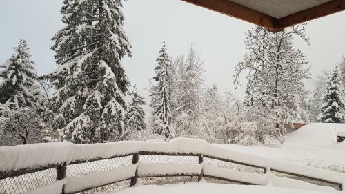 Chalet 5 Stars Les Oursons