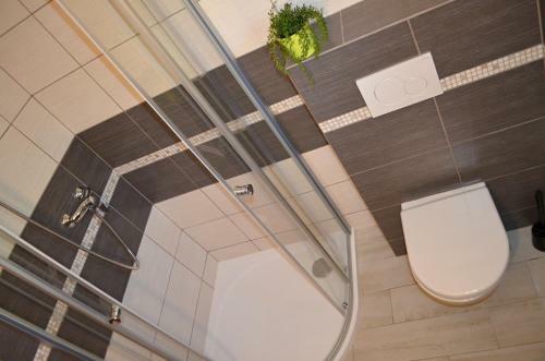 Apartamento Vina?stv� Koliba