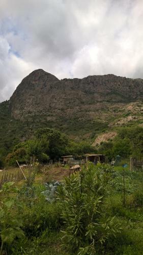 Haut De Villa
