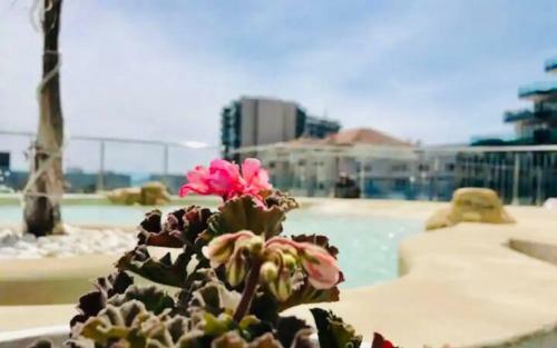 Luxury Ocean Spa Plaza Private Large 1 Bed Apartment