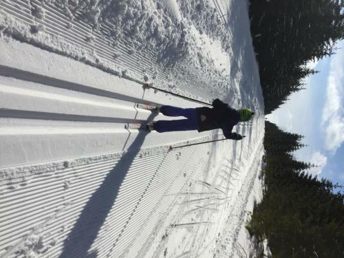 Cihl�?ka Apartm�n 109 - Pec Pod Sn??kou ?ern� Hora