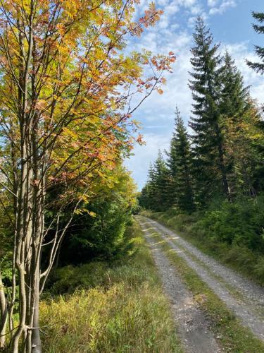 Cihl�?ka Apartm�n 109 - Pec Pod Sn??kou ?ern� Hora