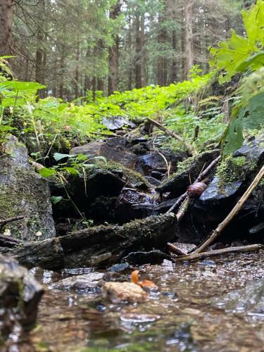 Cihl�?ka Apartm�n 109 - Pec Pod Sn??kou ?ern� Hora