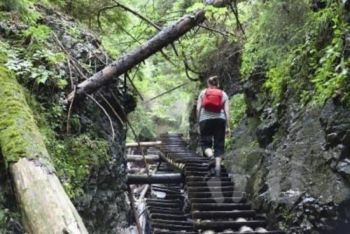 Vakantiehuis Cerny Dul 259