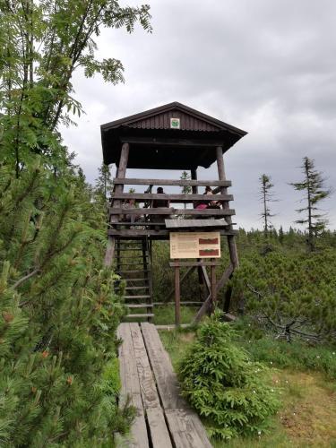 Vakantiehuis Cerny Dul 259