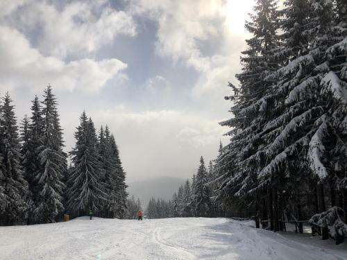 Apartm�n "u N�s Doma" V Chat? Alfa ?ern� D?l