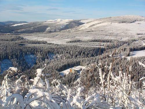 Cihlarka Apartment 306