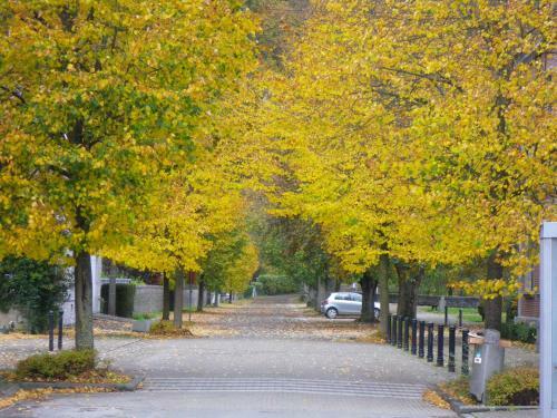 Apartamento La Villa Des Roses