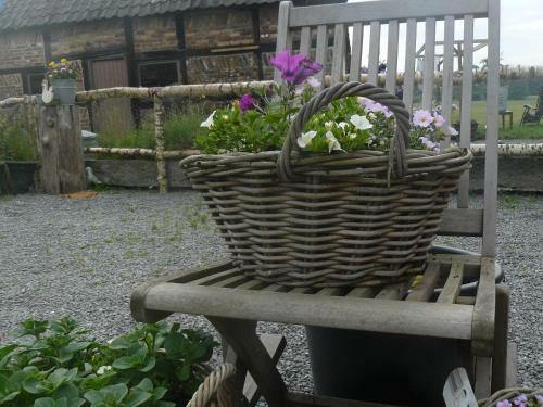 Bed & Breakfast La Fleur Et Le Soleil (f&s)
