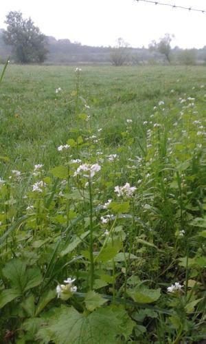 Bed & Breakfast La Fleur Et Le Soleil (f&s)