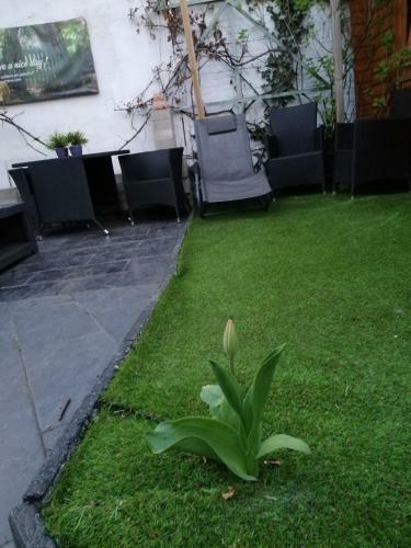 Bed & Breakfast Pension Art Galerie
