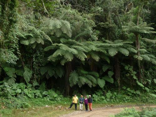 Agroturismo Casa de Campo Tarapari Yungas
