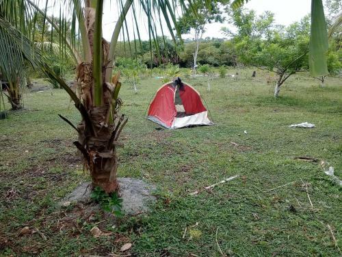 Mama Tina's Vaca Plateau Camping Tents