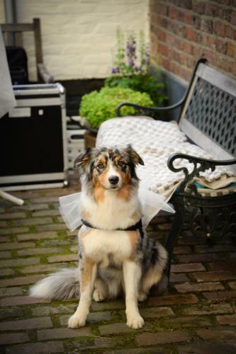 Posada De Pingerhoeve