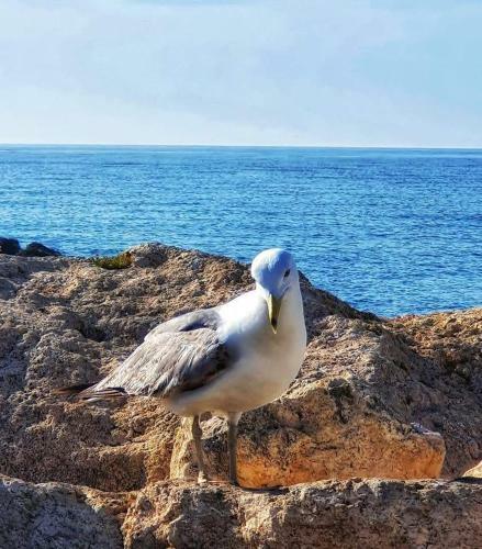 C�modo Apartamento Cerca Del Mar