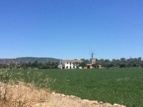 Finca Sa Tanca-rentallorca
