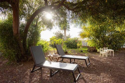 Home2book Amazing Teide View & Terrace