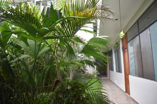 Hostal Hospedaje Samaniego