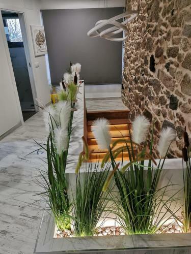 As Penedas, Casa Dos Arcos