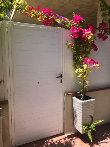 Forget Me Not Apartment Boutique Sitges