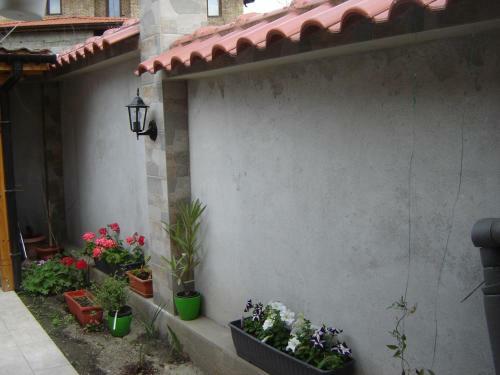 Rose Valley Guest House