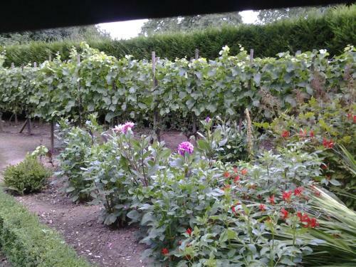 Bed And Breakfast Engelen Holland