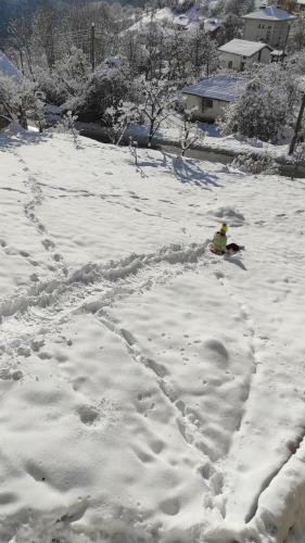 ???? ?? ????? ??????