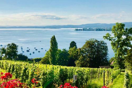 Apartamento Sleep In Style At Beautiful Lake Constance